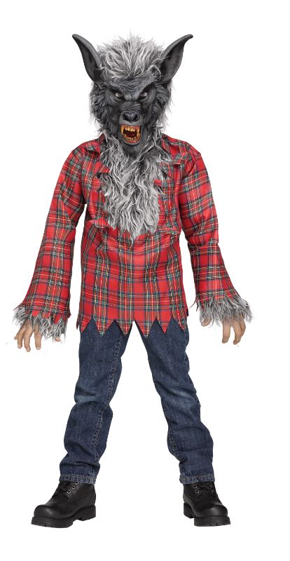 Photo 1 of Grey Werewolf Costume for Kids
SIZE MEDIUM
