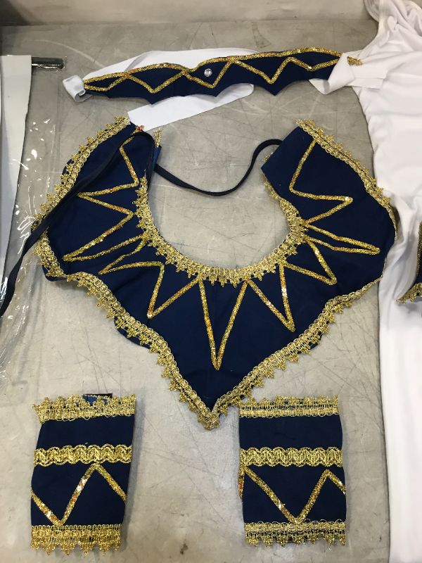 Photo 5 of Forum Novelties Child's Princess of The Pyramids Egyptian Costume Large