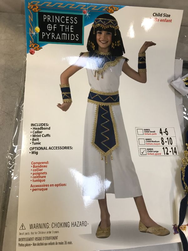 Photo 2 of Forum Novelties Child's Princess of The Pyramids Egyptian Costume Large