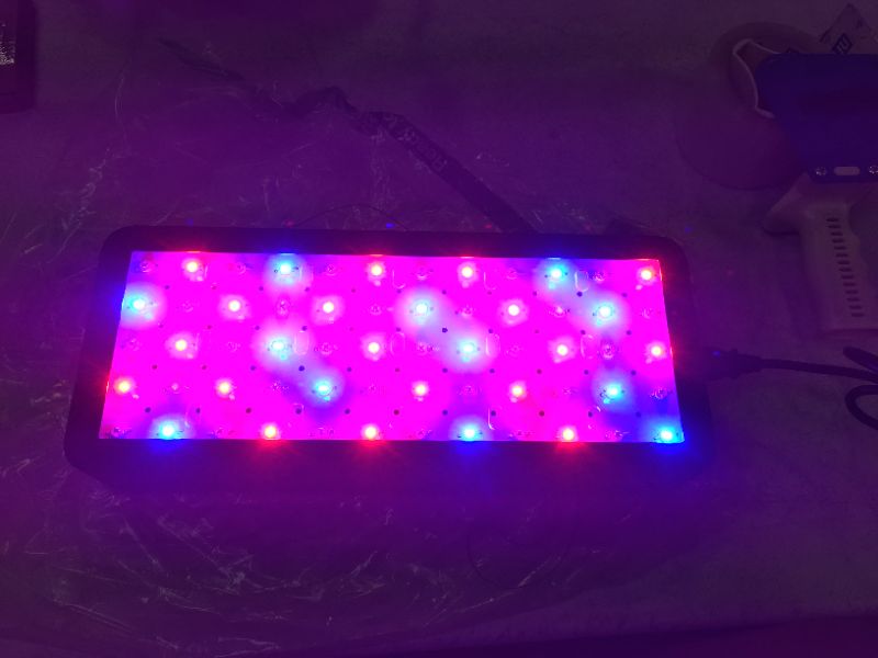 Photo 2 of Phlizon 2022 Upgraded 600W LED Plant Grow Light with Samsung LEDs Full Spectrum Plants Light Double Switch Grow Led for Indoor Plants Veg and Flower
