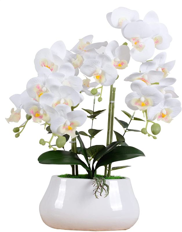 Photo 1 of Artificial Orchid Flowers Bonsai with Vase Fake Vivid Arrangement Phalaenopsis Flowers Silk Butterfly Orchid Desk Flowers in Pot for Table Room Home Office House Wedding Party Decoration (White)