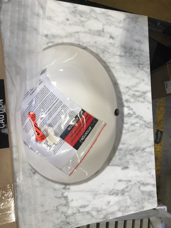 Photo 1 of 24 in. W x 22 in. D x 34 in. H Bath Vanity in White with Marble Vanity Top in Carrara White with White Basin

