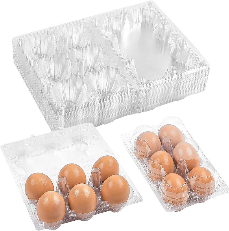 Photo 1 of Zezzxu 48 Pack Egg Cartons, Clear Plastic Egg Cartons Bulk Empty Chicken Egg Holders - Hold 6 Eggs Securely, Perfect for Family Pasture Farm Markets Display