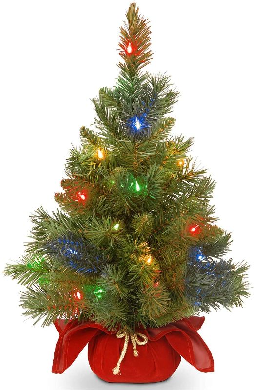 Photo 1 of 2 ft. Majestic Fir Pre-Lit LED Battery Operated Tree with Burgundy Cloth Bag
