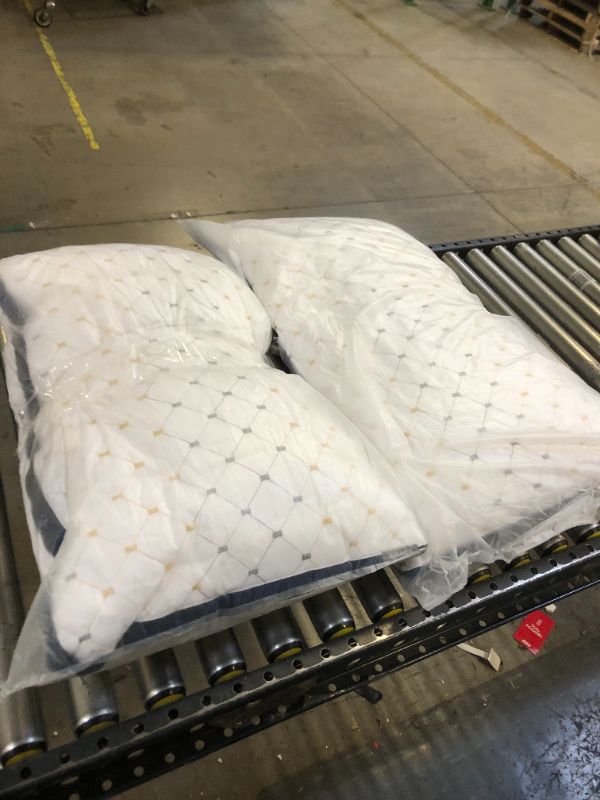Photo 1 of AiAngu Pillows for Sleeping - [2 Pack] Premium Hotel Bed Pillows?Breathable Down Alternative Cooling Pillows Good for Side Back and Stomach Sleepers,100% Breathable Cotton Cover Skin-Friendly (Queen)
