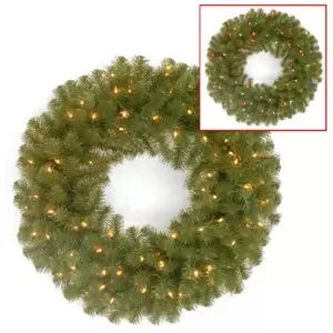 Photo 1 of  National Tree 24" North Valley Spruce Wreath with 50 Battery Operated Dual Led L