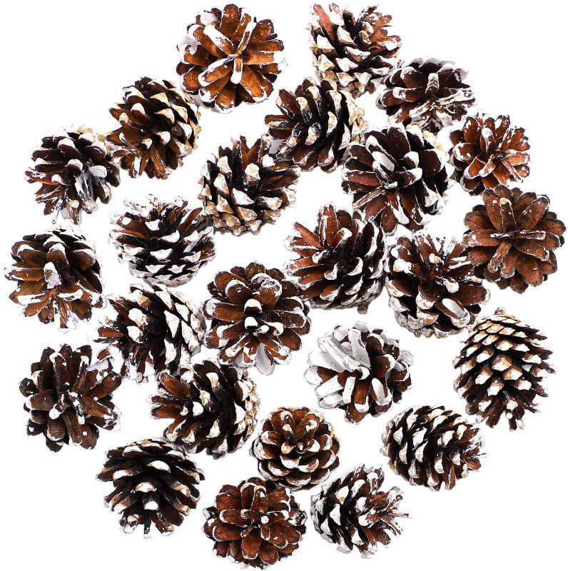 Photo 1 of 18Pcs Natural Pine Cones, 2 Inch Christmas Rustic Pine Cones 