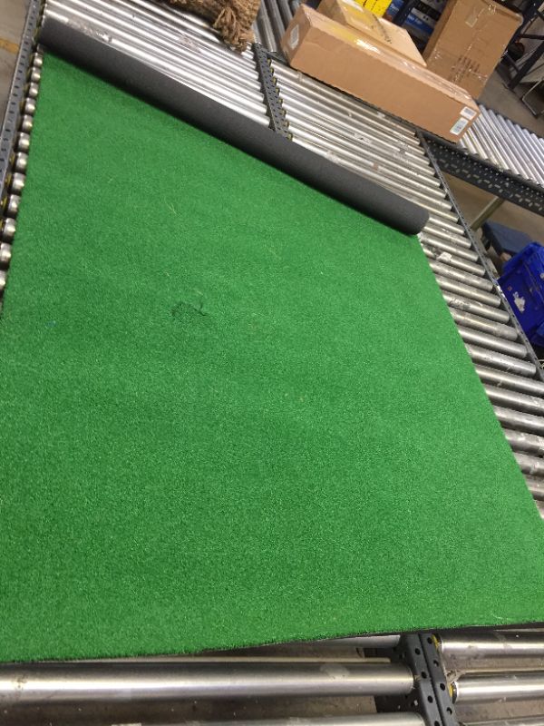 Photo 1 of 4'X6' TURF RUG