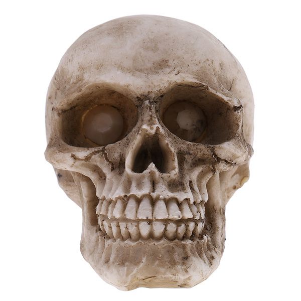 Photo 1 of  1/6 Scale Human Skull Action Figure Collectible Gift.