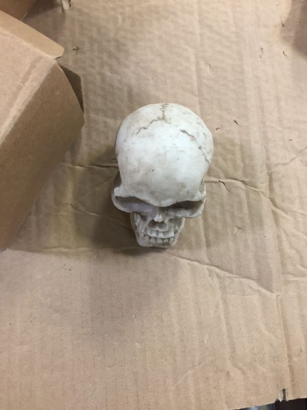 Photo 3 of  1/6 Scale Human Skull Action Figure Collectible Gift.