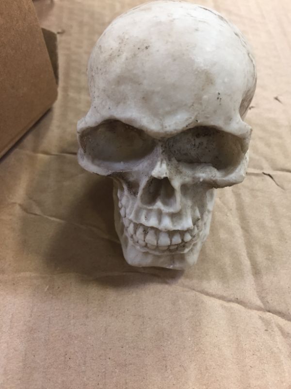 Photo 2 of  1/6 Scale Human Skull Action Figure Collectible Gift.