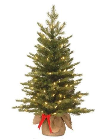 Photo 1 of 3 ft. Nordic Spruce Artificial Christmas Tree with Battery Operated Warm White LED Lights
