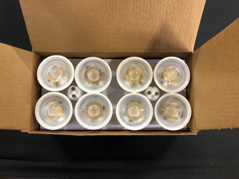 Photo 1 of box of outdoor light bulbs 