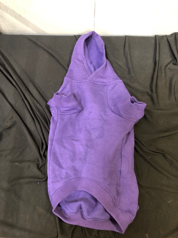 Photo 1 of Generic Purple Dog Hoodie. Medium