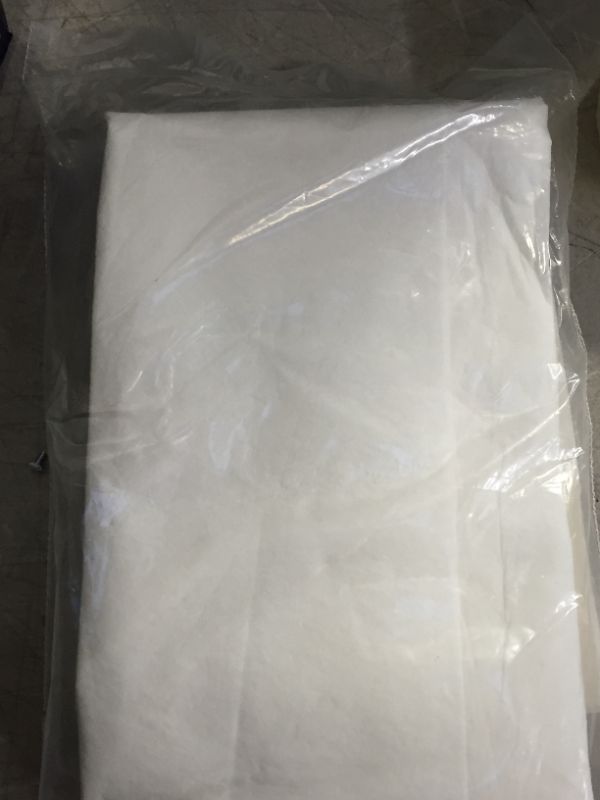Photo 1 of 4 ft. x 10 ft. Double-Guard Drop Cloth (2-Pack)