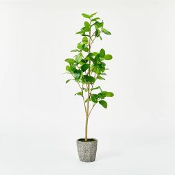 Photo 1 of Banyan Leaf Potted Tree - Threshold™ designed with Studio McGee

