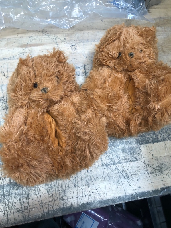 Photo 1 of BEAR SLIPPERS M BROWN