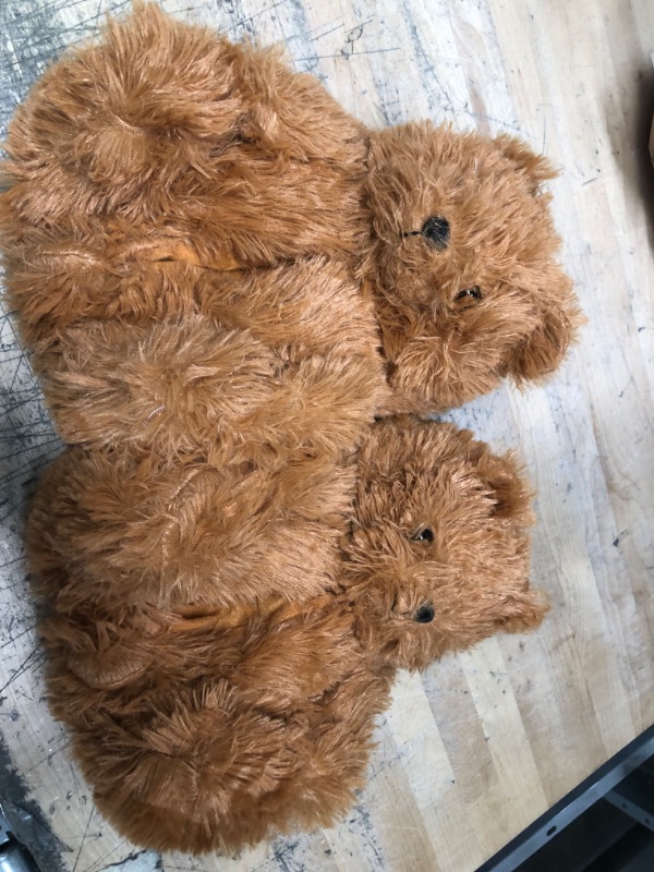 Photo 1 of BROWN M BEAR SLIPPERS (ALaDD)