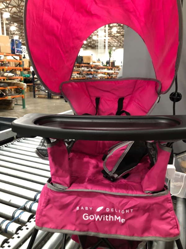 Photo 2 of Baby Delight Go with Me Venture Chair|Indoor/Outdoor Portable Chair with Sun Canopy|Pink|3 Child Growth Stages: Sitting, Standing and Big Kid|3 Months to 75 lbs|Weather Resistant
