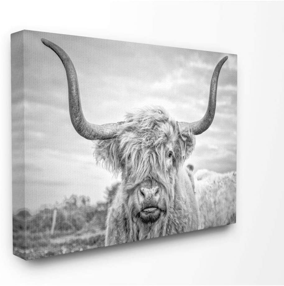 Photo 1 of *FRAME IS BROKEN*
HOME Black And White Highland Cow Photograph Canvas Wall Art, 24x30, Multicolor

