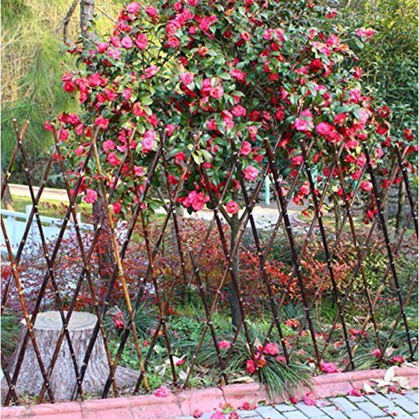 Photo 1 of  Flexible Bamboo Fence,Bamboo Sticks,Plastic Coated Fence for Garden,Yard Supporting
