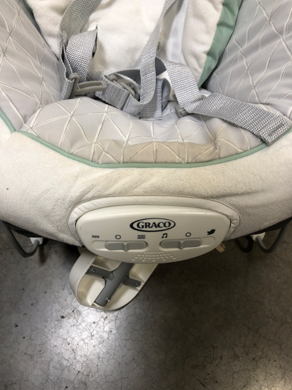 Photo 3 of Graco Duet Glide Gliding Swing with Portable Rocker, Winfield