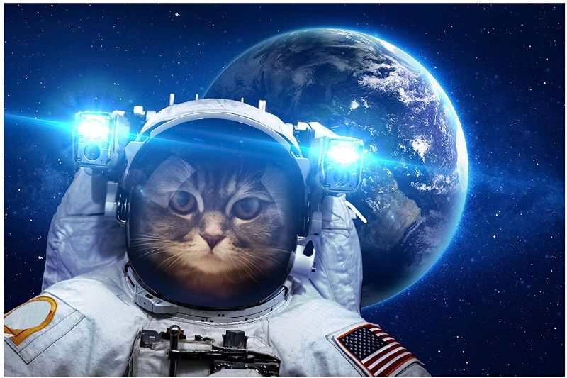 Photo 1 of AlTalent Space Astronaut Cat Puzzle -1000 Piece Jigsaw Puzzle for Adult Kids Pet Puzzle for Cats Educational Intellectual Decompressing Fun Family Game,DIY Mural Toys Gift,Artwork,Sci-Fi Cat Puzzles
