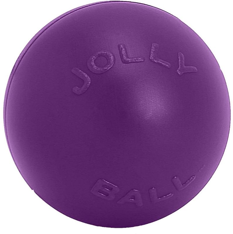 Photo 1 of Jolly Pets Push-n-Play Ball Dog Toy, 14 Inches/Extra-Large, Purple
