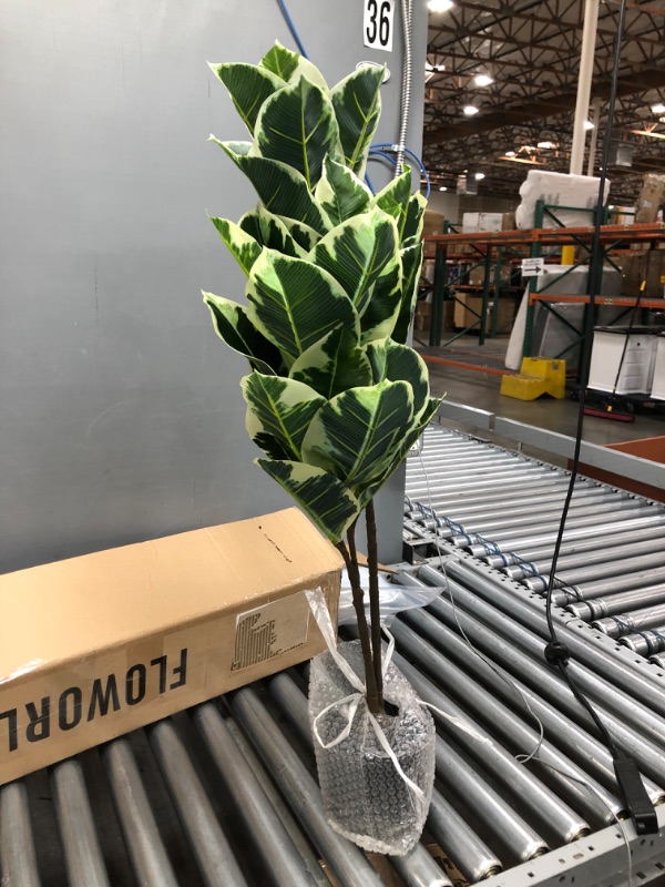 Photo 1 of Artificial Ficus Elastica, 3.6 ft