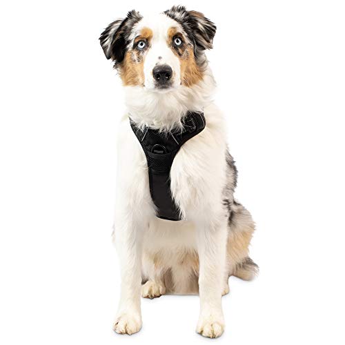 Photo 1 of Pet Craft Supply Premium Dog Harness - Medium