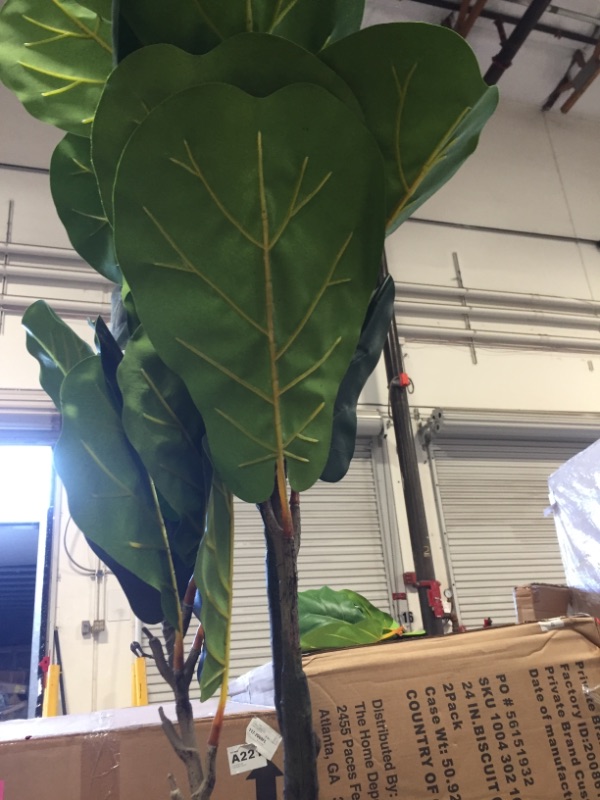 Photo 2 of ***STOCK PHOTO FOR REFERENCE ONLY**
Artificial Fiddle Leaf Fig Tree 5.5 Feet *** USED** MISSING SOME LEAVES*** MINOR SCRATCHES**