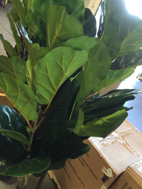 Photo 3 of ***STOCK PHOTO FOR REFERENCE ONLY**
Artificial Fiddle Leaf Fig Tree 5.5 Feet *** USED** MISSING SOME LEAVES*** MINOR SCRATCHES**