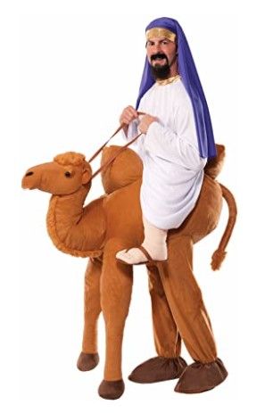 Photo 1 of Forum Novelties Ride-A-Camel Adult Costume
