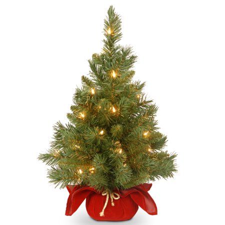 Photo 1 of 2’ Pre-lit Potted Majestic Fir Tree Artificial Christmas Tree in Burgundy Cloth Bag – Clear Lights
