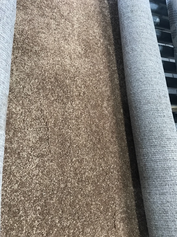Photo 1 of **STOCK PHOTO FOR REFERENCE ONLY***
4' X6' LIGHT BROWN AREA RUG 