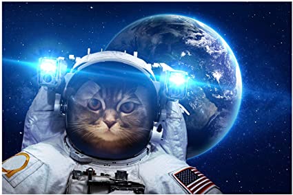 Photo 1 of AlTalent Space Astronaut Cat Puzzle -1000 Piece Jigsaw Puzzle for Adult Kids Pet Puzzle for Cats Educational Intellectual Decompressing Fun Family Game,DIY Mural Toys Gift,Artwork,Sci-Fi Cat Puzzles
