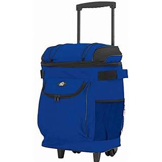 Photo 1 of **HAS LEAKAGEW**

TCL Cool carry blue cooler