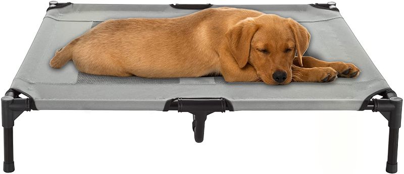 Photo 1 of Elevated Dog Bed – 36x29.7