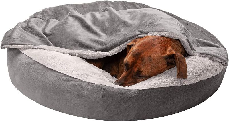 Photo 1 of Furhaven Pet Bed for Dogs and Cats