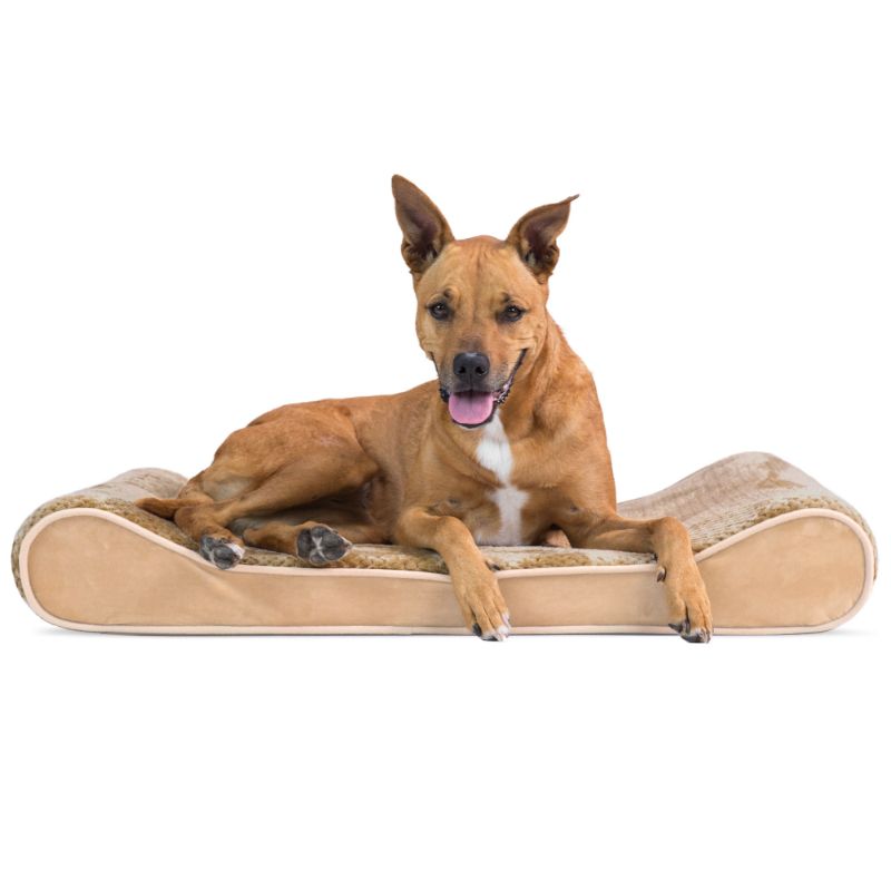 Photo 1 of Minky Plush Pet Contour Dog Bed - Multiple Foam Cores Available Camel - Orthopedic in Blue Large