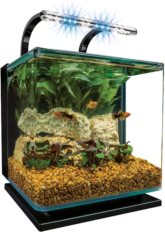 Photo 1 of **Incomplete**Marineland Contour 3 aquarium Kit 3 Gallons, Rounded Glass Corners, Includes LED Lighting
