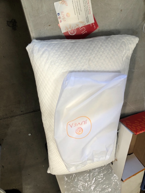 Photo 1 of -NO STOCK PHOTO
juvea pillow 15" X 30"