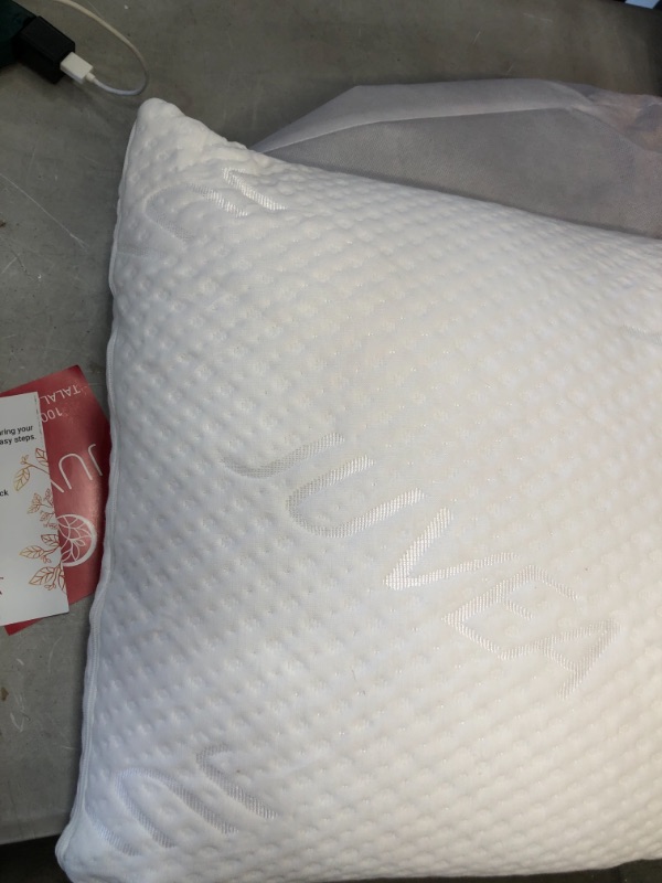 Photo 1 of -NO STOCK PHOTO
juvea pillow 15" X 30"