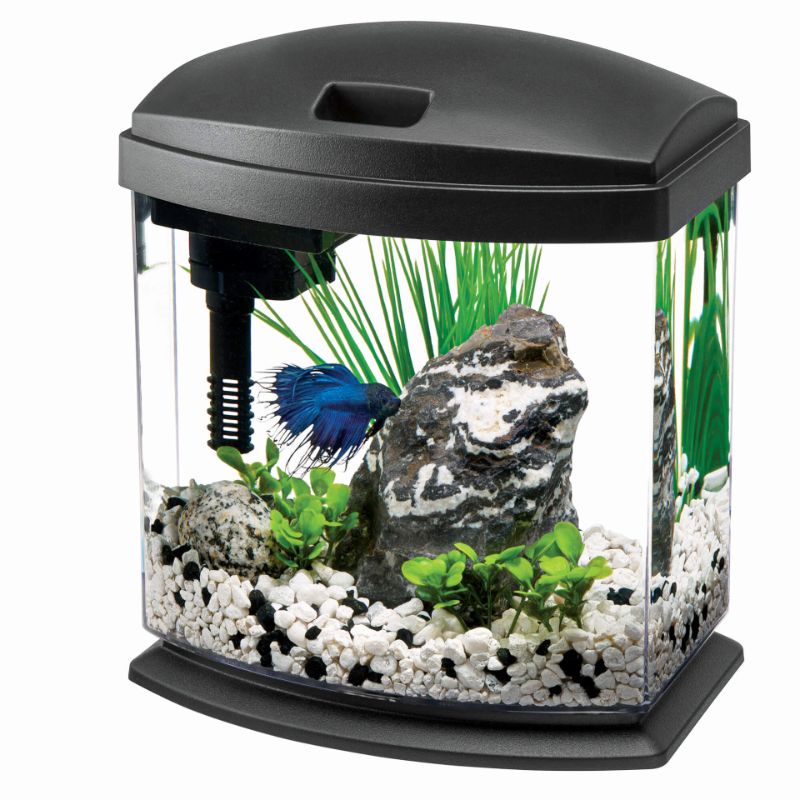 Photo 1 of Aqueon MiniBow Aquarium LED Starter Kit, 1 Gallon, Black