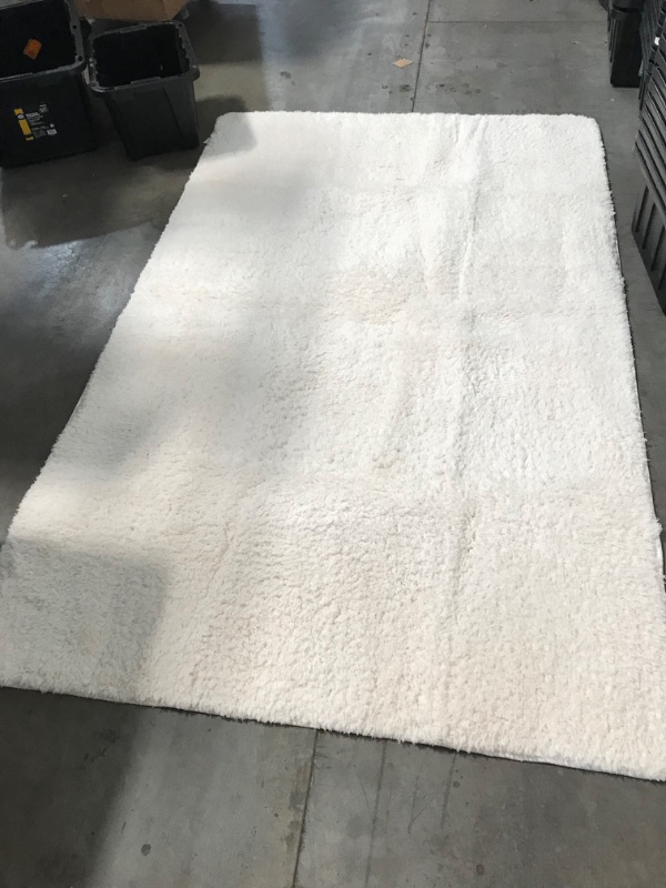 Photo 2 of (DIRTY FROM STORAGE)
8' x 5' white rug