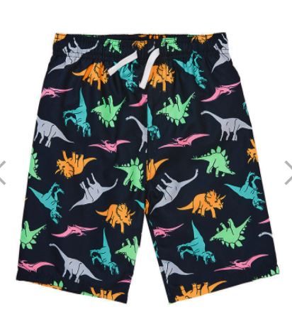 Photo 1 of Dino Swim Trunk- 4/5T
