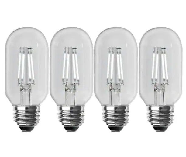 Photo 1 of 40-Watt Equivalent T14 Dimmable Straight Filament Clear Glass Vintage Edison LED Light Bulb, Daylight (4-Pack)
** ONLY 3 LIGHT BULB**