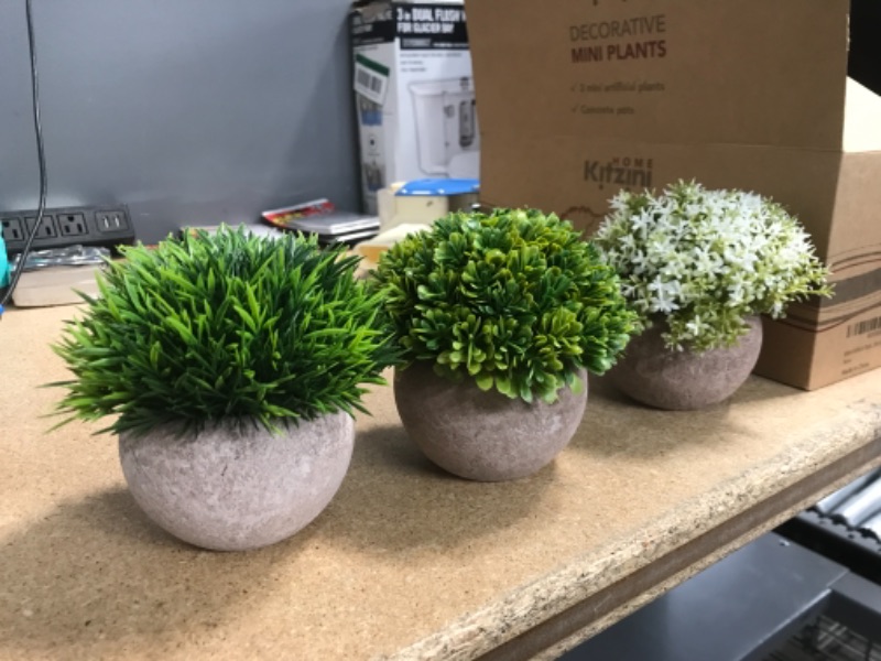 Photo 2 of 3 Fake Plants: Clipped Succulent, Grass Shrub & White Blossom in Concrete Pot