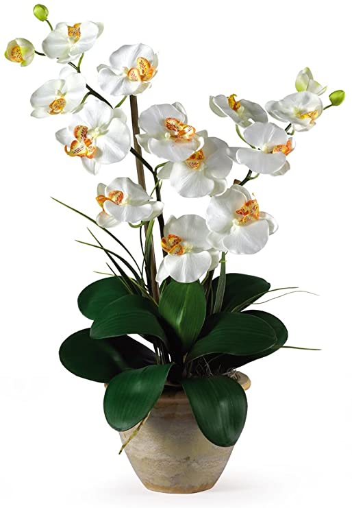 Photo 1 of Double Stem Phalaenopsis Silk Orchid Arrangement
