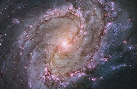 Photo 1 of Posterazzi Barred spiral galaxy Messier 83 Poster Print, (17 x 11)
